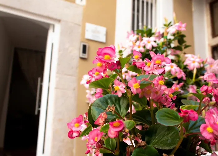 Bed and Breakfast Il Cortile degli Ulivi Andria