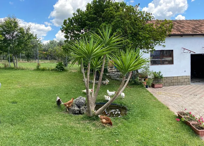 Bed and Breakfast A Casa Di Nonna Emilia Campagna