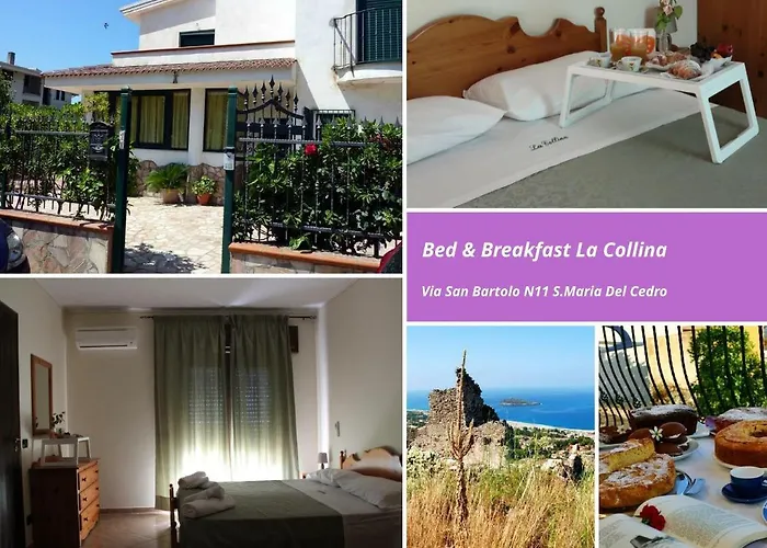 B&B a Santa Maria Del Cedro