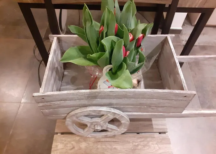 B&B a Alassio