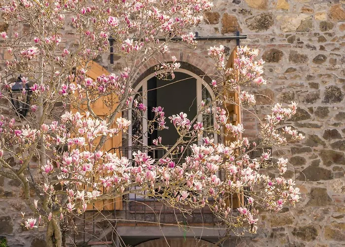 Bed and Breakfast La Magnolia Greve in Chianti
