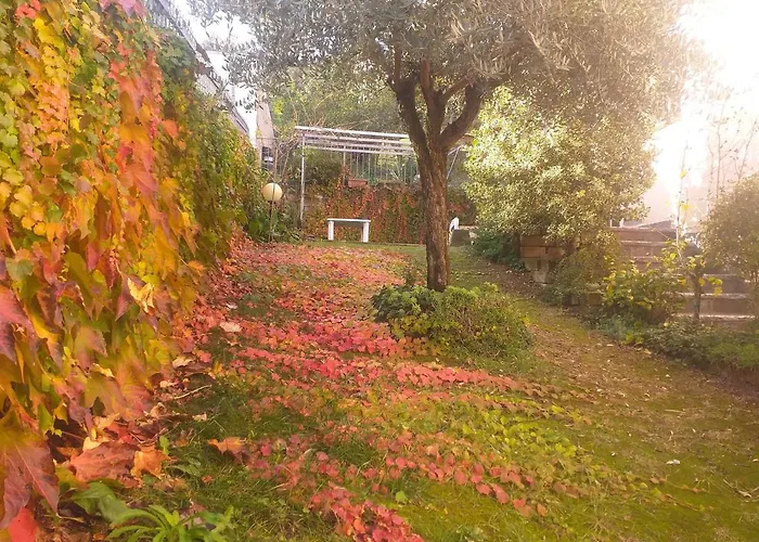 B&B a Predappio
