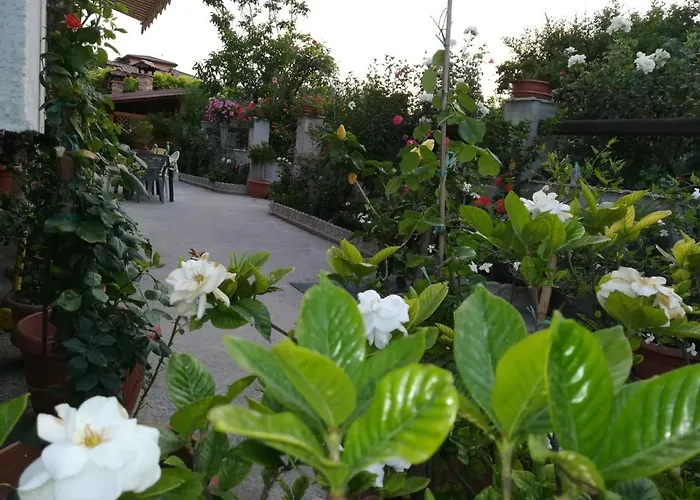 B&B a Bova Marina