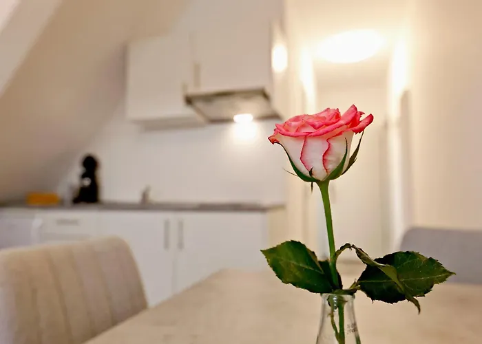 B&B a Heidelberg