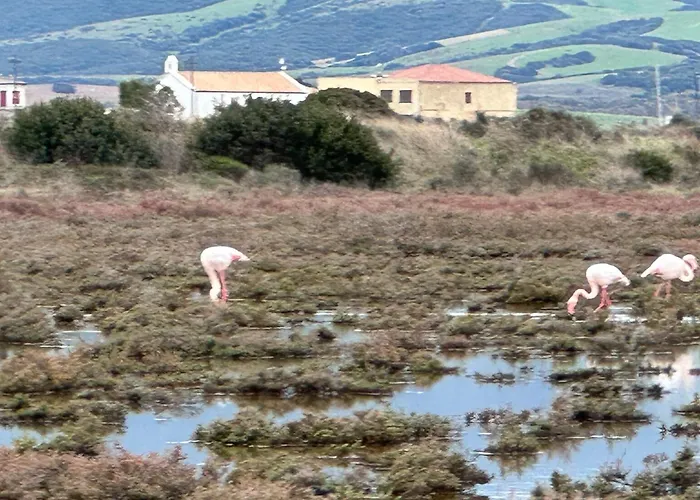 B&B a Terralba