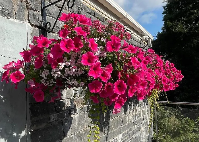 Shandon Bells Guest House Cork