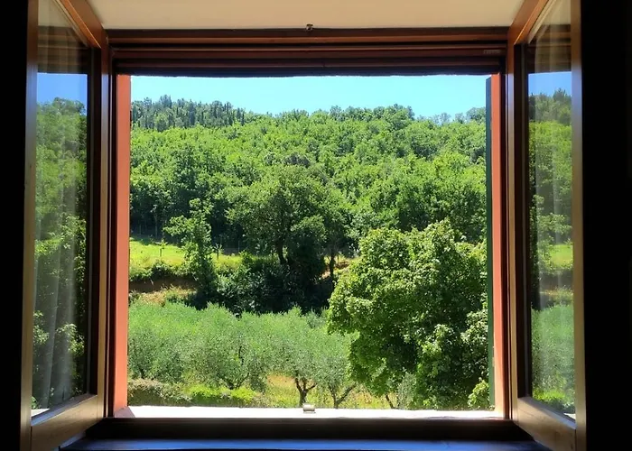 B&B a Trevi