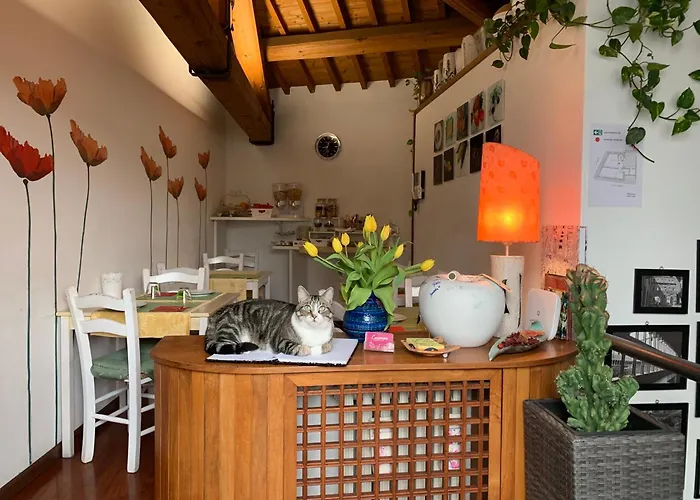 B&B a Albignasego