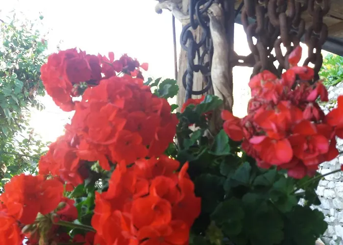 B&B Al Castel Padola