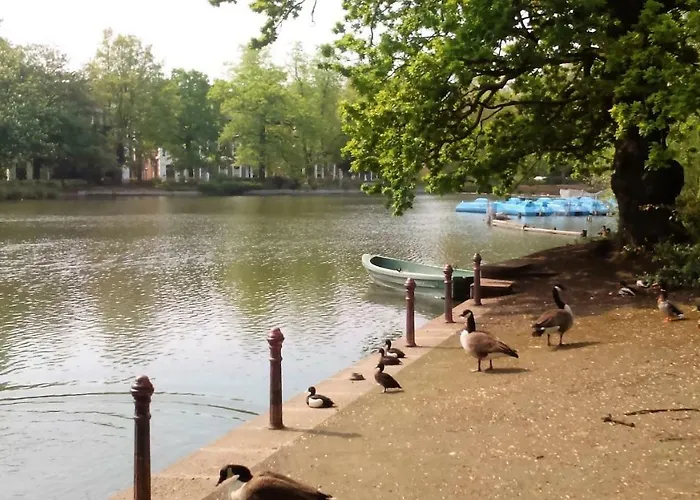 Crystal Palace B&B Londra