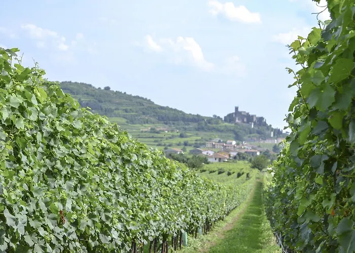 B&B a Soave (Verona)